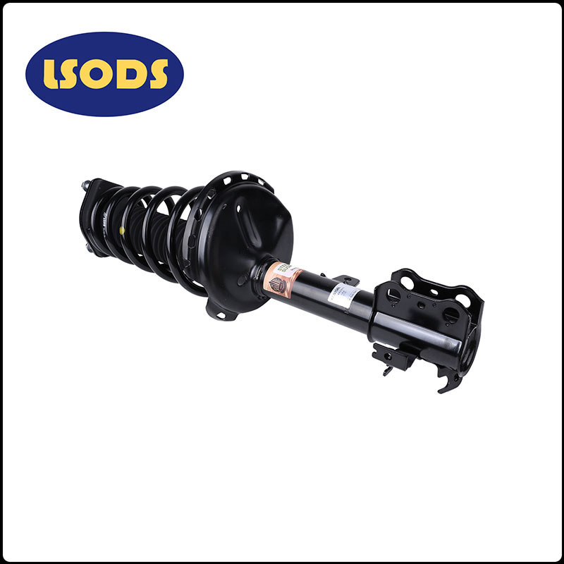 Car shock xurgatzailea 5aev-2915100