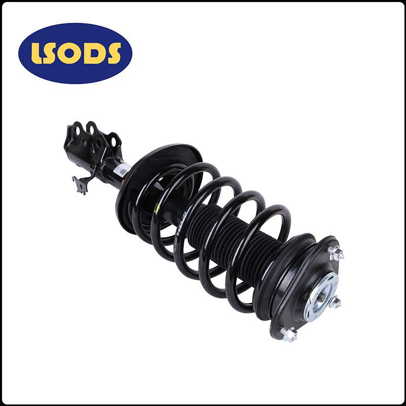 Auto-shock xurgatzaile haev-2905100