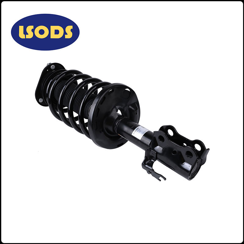 Auto-shock xurgatzaile haev-2915200